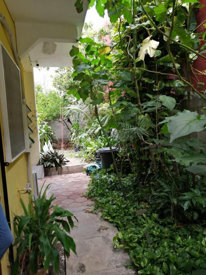 Gaviota Apartment Playa del Carmen Exterior photo